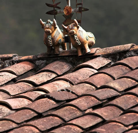 Tiny Bulls Protecting Your Life